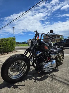 Harley-Davidson Dyna из Японии, фото 5