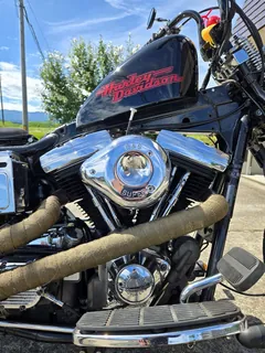 Harley-Davidson Dyna из Японии, фото 7