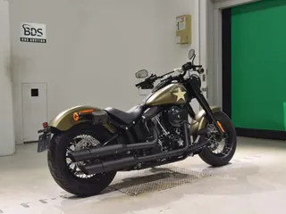 Harley-Davidson FLSS1800 из Японии, фото 5