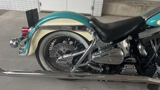 Harley-Davidson FLSTC из Японии, фото 8