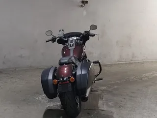 Harley-Davidson FLSB1750 из Японии, фото 4