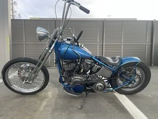 Harley-Davidson EL 1000 из Японии, фото 3