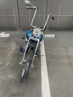 Harley-Davidson EL 1000 из Японии, фото 7