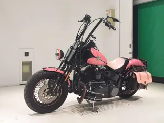 Harley-Davidson FLSTSB1580 из Японии, фото 4