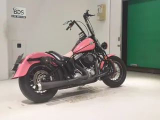 Harley-Davidson FLSTSB1580 из Японии, фото 5