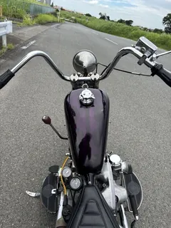 Harley-Davidson FLH1200 из Японии, фото 8