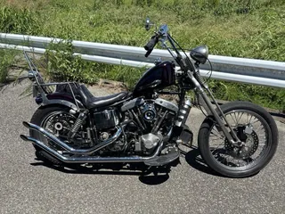 Harley-Davidson FLH1200 из Японии, фото 3