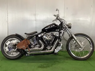 Harley-Davidson Softail Custom из Японии, фото 1