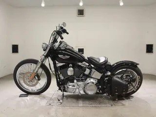 Harley-Davidson FLSTN1580 из Японии, фото 2