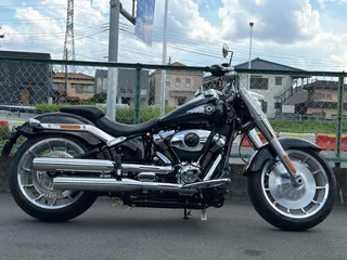 Harley-Davidson FLFB из Японии, фото 3