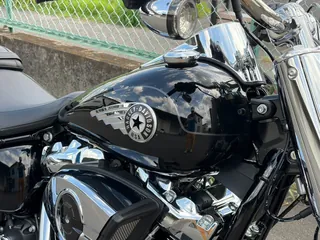 Harley-Davidson FLFB из Японии, фото 4