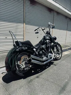 Harley-Davidson Springer Softail из Японии, фото 1