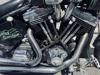 Harley-Davidson Springer Softail из Японии, фото 6