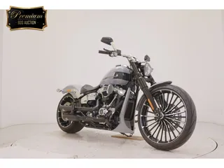Harley-Davidson FXBR1920 из Японии, фото 3