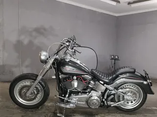 Harley-Davidson FLSTF1580 из Японии, фото 2