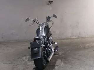 Harley-Davidson FLSTF1580 из Японии, фото 4