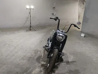 Harley-Davidson FLFBS1870 из Японии, фото 3