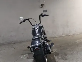 Harley-Davidson FLFBS1870 из Японии, фото 4