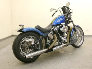 Harley-Davidson Heritage Softail Classic FLSTC1450 из Японии, фото 3