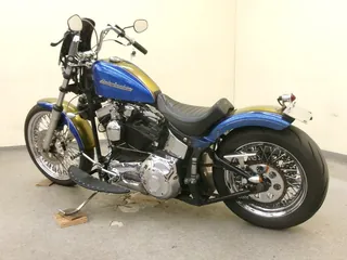 Harley-Davidson Heritage Softail Classic FLSTC1450 из Японии, фото 7