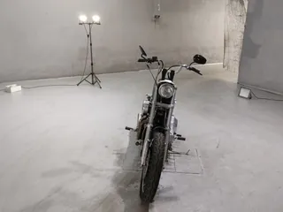 Harley-Davidson FXDL1340 из Японии, фото 3