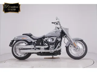 Harley-Davidson FLFB1920 из Японии, фото 1