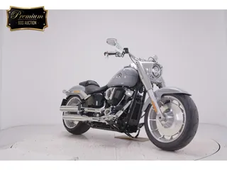 Harley-Davidson FLFB1920 из Японии, фото 3