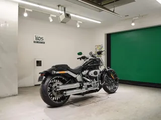 Harley-Davidson FXBR1920 из Японии, фото 5