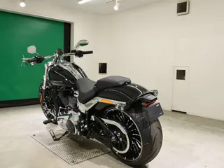 Harley-Davidson FXBR1920 из Японии, фото 6