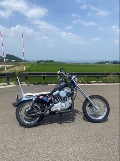 Harley-Davidson XLH1200 Sportster из Японии, фото 1