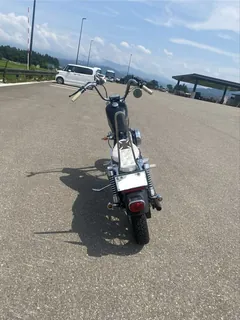 Harley-Davidson XLH1200 Sportster из Японии, фото 4