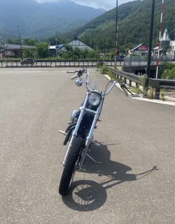 Harley-Davidson XLH1200 Sportster из Японии, фото 5