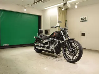 Harley-Davidson FXBR1920 из Японии, фото 3