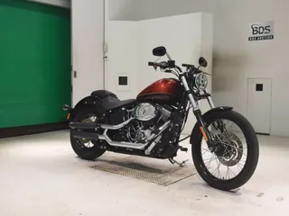 Harley-Davidson FXS1580 из Японии, фото 3
