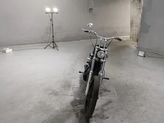 Harley-Davidson XL883C из Японии, фото 3