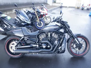 Harley-Davidson VRSCDX1250 из Японии, фото 1