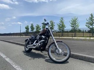 Harley-Davidson XL1200V Seventy-Two из Японии, фото 3