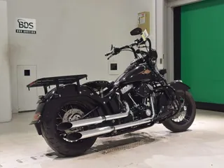 Harley-Davidson FLSTSB1580 из Японии, фото 5