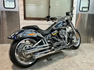 Harley-Davidson FLSTFI из Японии, фото 5