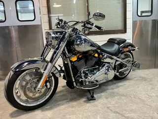 Harley-Davidson FLSTFI из Японии, фото 7