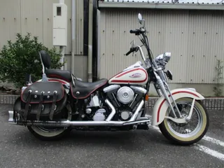 Harley-Davidson FLSTS1450 из Японии, фото 2