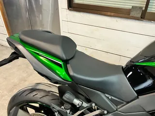 Kawasaki NINJA1000SX из Японии, фото 4