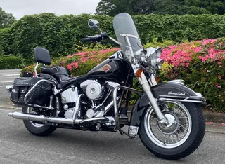 Harley-Davidson FLSTC из Японии, фото 1