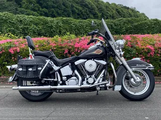 Harley-Davidson FLSTC из Японии, фото 6