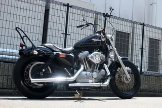 Harley-Davidson XL883 из Японии, фото 4