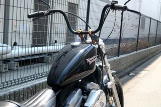 Harley-Davidson XL883 из Японии, фото 6