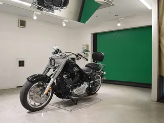 Harley-Davidson FLFB1920 из Японии, фото 4