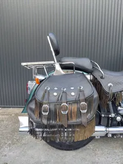 Harley-Davidson Heritage Softail Springer из Японии, фото 6