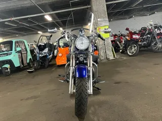 Triumph America LT из Японии, фото 4