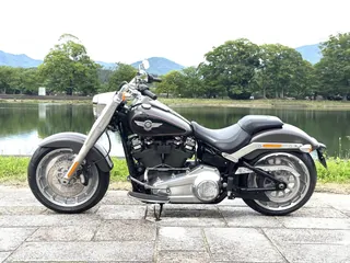 Harley-Davidson Fat Boy 114 из Японии, фото 3